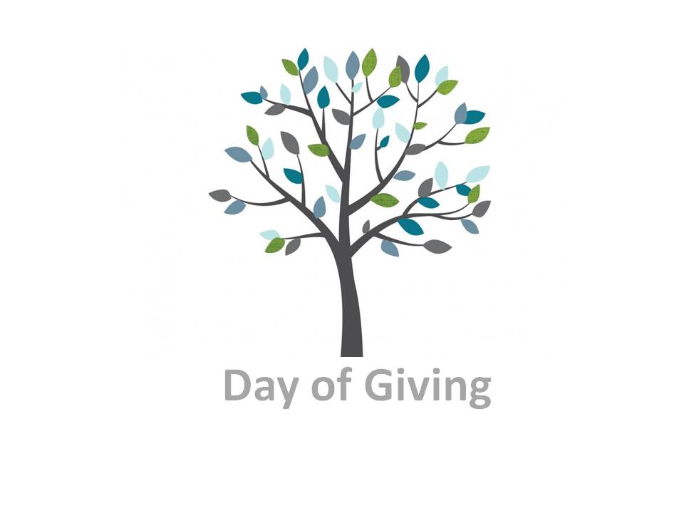 Tell Us About Your Day of Giving (2018)